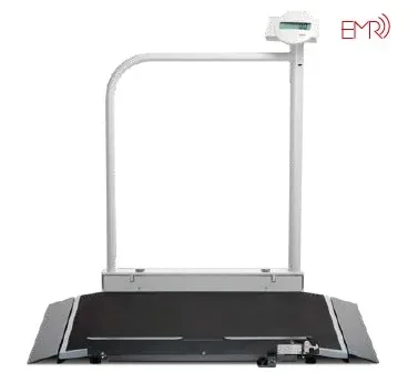 Seca Wheelchair Scale